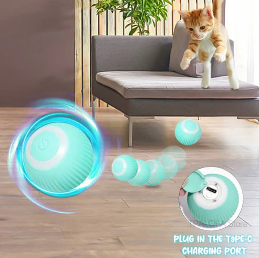 PawChase™ Automatic Teasing Pet Ball